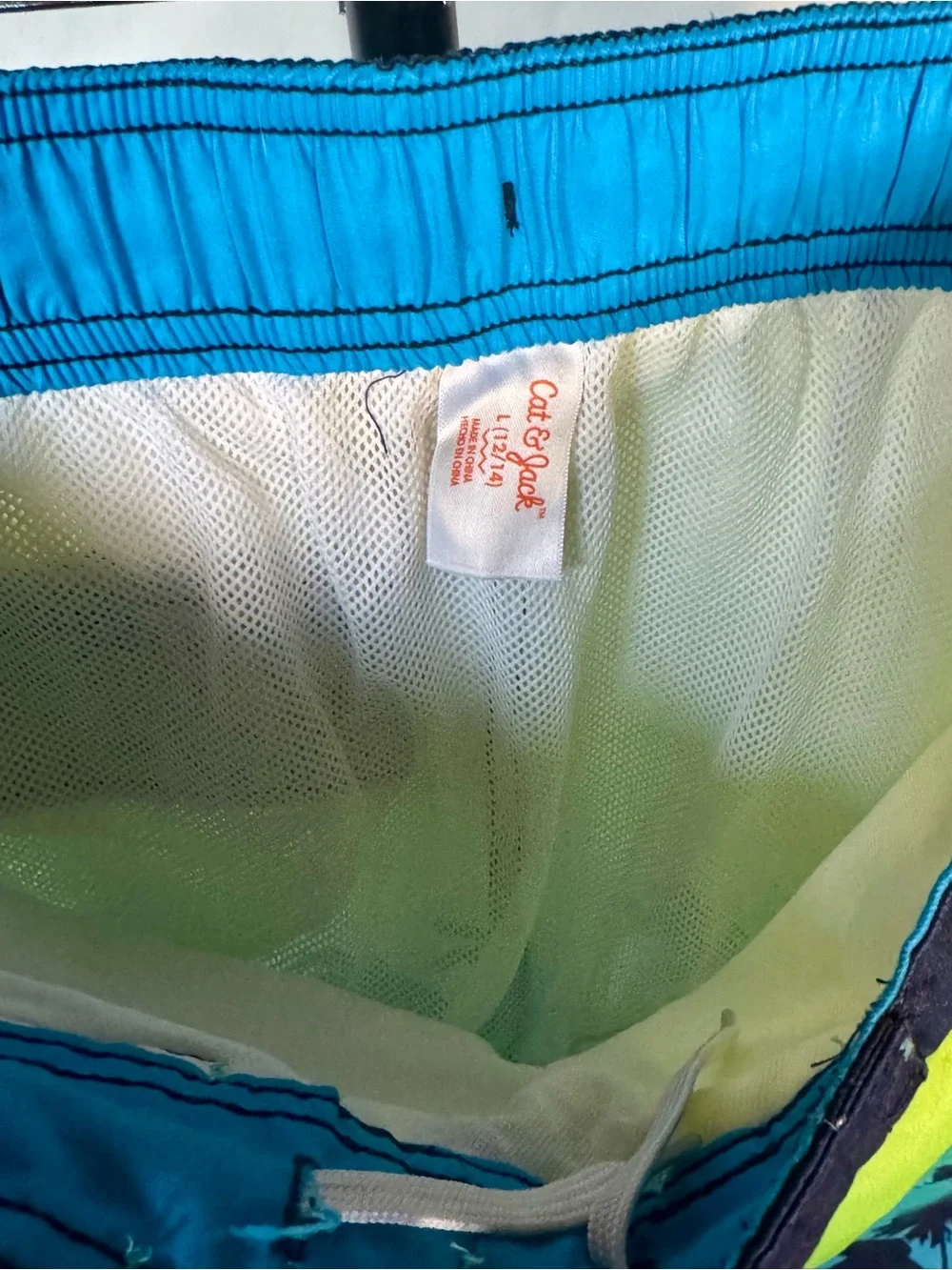 Cat & Jack Boys Gradient Dino & Palm Swim Trunks - Blue Green Yellow